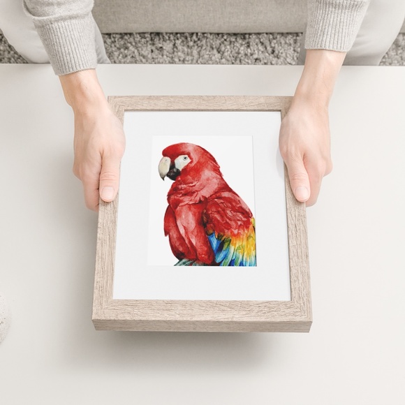 Red Macaw Parrot Bird Watercolor Wall Art Print Poster Unframed - Picture 5 of 8